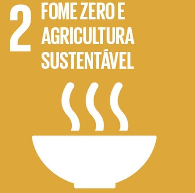 Logo do ODS 2 com o texto 'Fome Zero e Agricultuta Sustentável' 